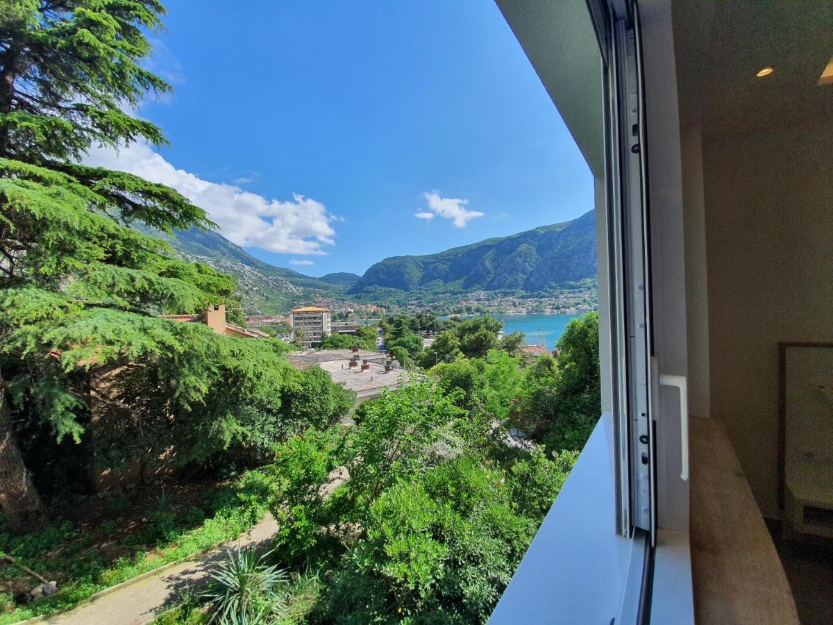 Viola Lux Apartments Kotor Bagian luar foto
