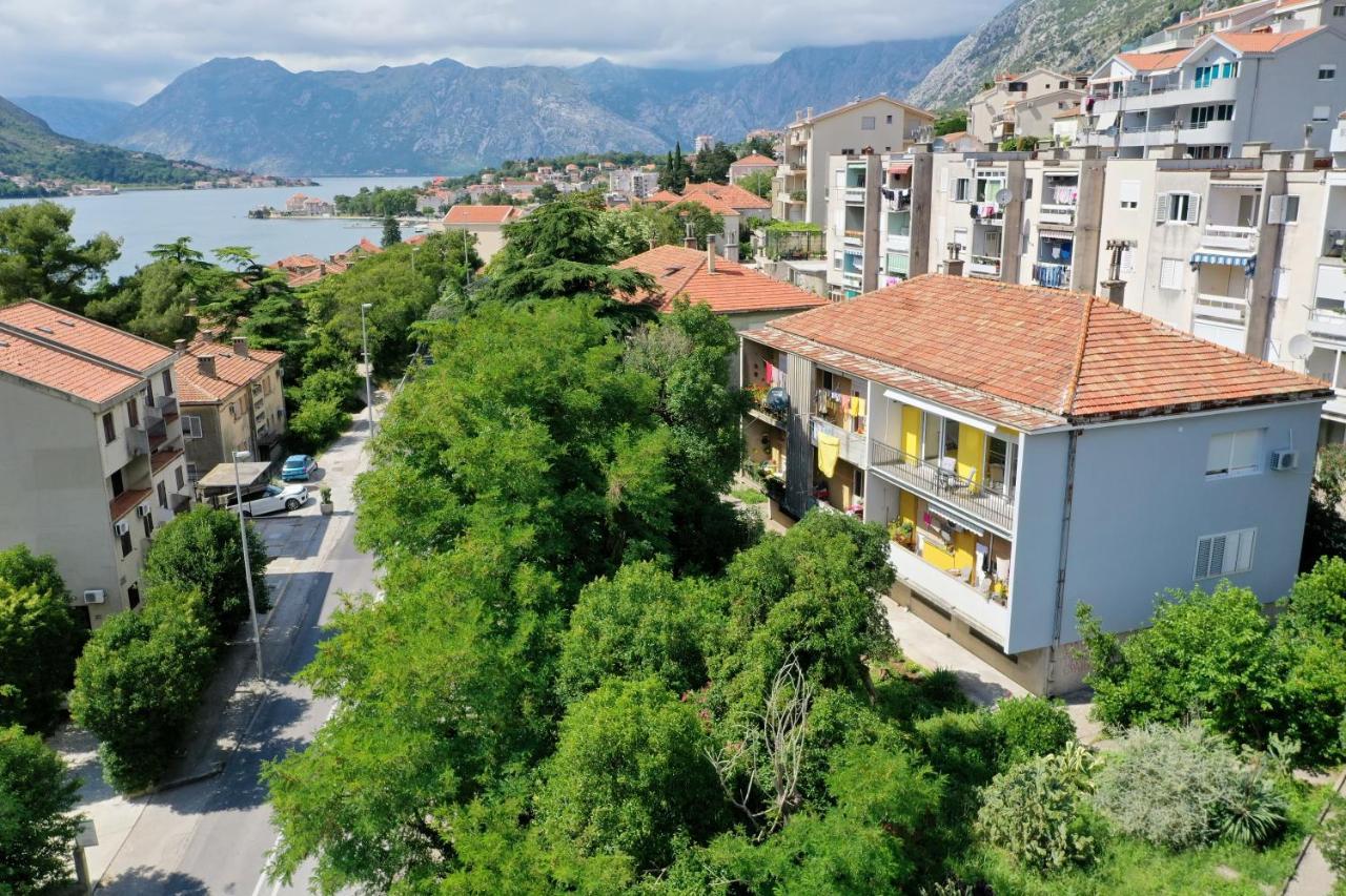 Viola Lux Apartments Kotor Bagian luar foto